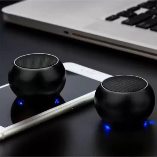 Speaker