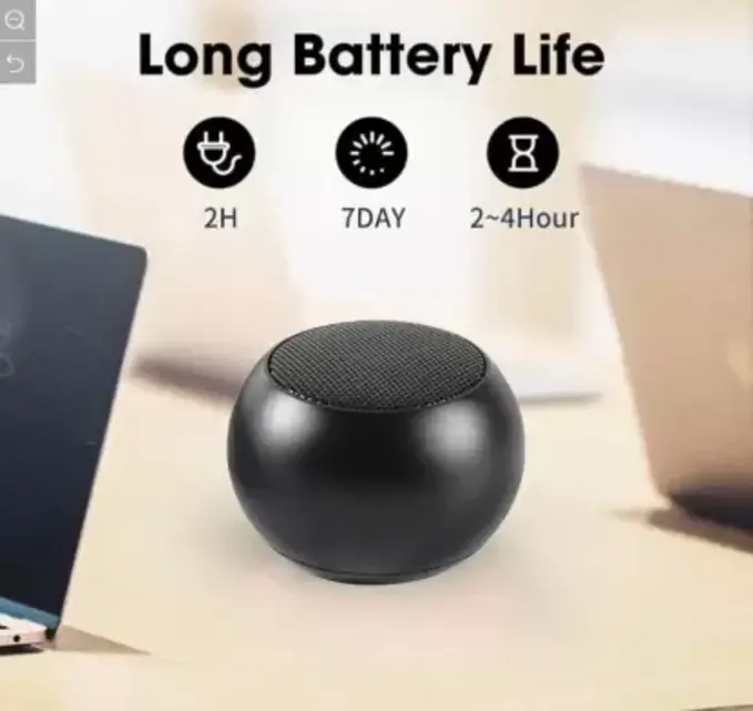 Speaker Back View
